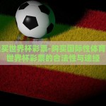 哪儿能买世界杯彩票-购买国际性体育赛事如世界杯彩票的合法性与途经