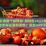 世界杯彩票那个软件好-如何在2022年快速领略世界杯彩票的激情？这款APP不错！