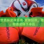 世界杯在哪儿买彩票-探索世界杯彩票购买的多元化途径与注意事项