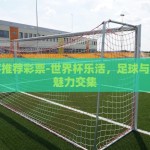 世界杯彩票多少钱-世界杯热潮下的足球彩票投注攻略，明智参与，理性投注