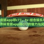 世界杯彩票投注方式-玩转世界杯，深度探索彩票投注方式