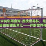 世界杯网售彩票无望-世界杯网售彩票，监管限制下的灰色梦想