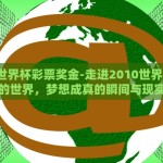 世界杯彩票投注258-理性审视与享受，世界杯彩票投注的微妙平衡