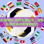 世界杯彩票海外-跨界足球狂欢，揭秘世界杯彩票在海外的独特魅力