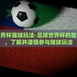 足球世界杯赌球玩法-足球世界杯的智慧博弈，了解并谨慎参与赌球玩法