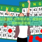 世界杯彩票哪还能买-探索世界杯彩票购买的新渠道，多样选择与合规之道