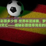 世界杯彩票多少倍-世界杯足球赛，梦想与数字的交汇——揭秘彩票倍率背后的故事