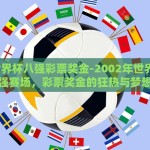 2002世界杯八强彩票奖金-2002年世界杯，八强赛场，彩票奖金的狂热与梦想