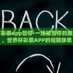 世界杯彩票app暂停-一场被暂停的数字热潮，世界杯彩票APP的短期静思