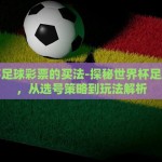 世界杯足球彩票的买法-探秘世界杯足球彩票，从选号策略到玩法解析