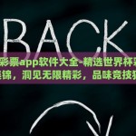 世界杯彩票app软件大全-精选世界杯彩票APP集锦，洞见无限精彩，品味竞技狂澜