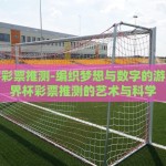 怎么买世界杯博彩-解锁世界杯精彩瞬间，理性指导买博彩策略