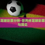 世界杯足球彩票分析-世界杯足球彩票的策略与洞见