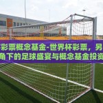 世界杯彩票概念基金-世界杯彩票，另一种视角下的足球盛宴与概念基金投资
