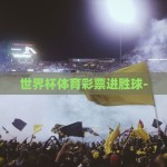98年彩票世界杯-回忆98年彩票世界杯，那段被热情点燃的夏夜