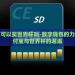 支付宝可以买世界杯吗-数字钱包的力量，支付宝与世界杯的邂逅