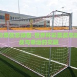 世界杯彩票买总球数-世界杯彩票买总球数，激战与幸运的交融
