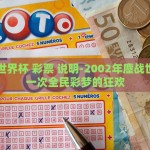 世界杯彩票6500倍-世界杯彩票888，6500倍的狂热与理性交汇点