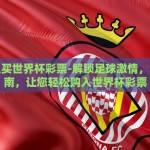 在哪里下注世界杯-揭秘全球足球盛宴，2023年世界杯精准下注指南