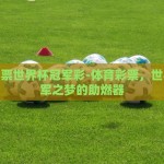 微信世界杯怎么赌投注-巧用微信布局世界杯，理性投注，乐享足球狂欢
