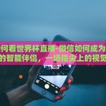 微信怎么买世界杯输赢-稳健指南，通过微信安全参与世界杯竞猜与投注
