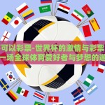 世界杯可以彩票-世界杯的激情与彩票的博弈，一场全球体育爱好者与梦想的邂逅