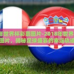 2018年世界杯彩票图片-2018年世界杯彩票图片，揭秘足球盛宴的幸运轨迹