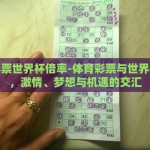 法国世界杯 彩票-抛弃陈规与幻梦，20载法国世界杯印象与彩票背后的故事