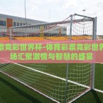 京东世界杯彩票-京东世界杯彩票，线上购彩新风尚与理性参与的平衡