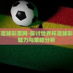 世界杯足球彩票网-探讨世界杯足球彩票网的魅力与策略分析
