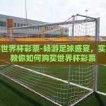 如何买世界杯彩票-畅游足球盛宴，实用指南教你如何购买世界杯彩票