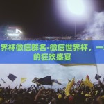 微信世界杯微信群名-微信世界杯，一群球迷的狂欢盛宴
