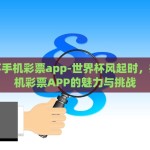 世界杯彩票购买方式-探秘世界杯彩票的购买魅力，多样方式、双赢体验