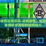 世界杯体育彩票资讯-点燃激情，解锁世界杯体育彩票背后的独特魅力