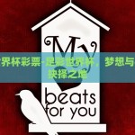 足彩世界杯彩票-足彩世界杯，梦想与机遇的抉择之地