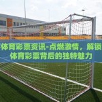 网易彩票 世界杯赛程-追逐梦想与幸运，网易彩票与世界杯赛程的激情交汇