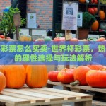 怎么投世界杯彩票-探索世界杯彩票的投注艺术