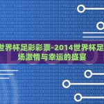 2014世界杯足彩彩票-2014世界杯足彩，那场激情与幸运的盛宴