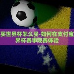 世界杯彩票淘宝怎么买-世界杯彩票，在淘宝的便捷选购指南