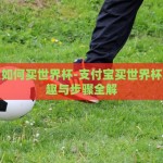 支付宝如何买世界杯-支付宝买世界杯球的乐趣与步骤全解