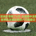 世界杯足球彩票输了6万-从遗憾中汲取教训，世界杯足球彩票的六万智囊记