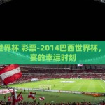 2014世界杯 彩票-2014巴西世界杯，足球盛宴的幸运时刻