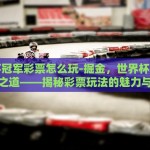 世界杯冠军彩票怎么玩-掘金，世界杯冠军的智胜之道——揭秘彩票玩法的魅力与智慧