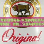 中国体育彩票世界杯-中国体育彩票与世界杯的深厚情结，激情、公益与梦想的交响曲