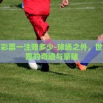 微信天天中彩票世界杯-微信天天中彩票与世界杯的欢乐碰撞