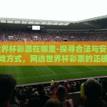 网上世界杯彩票在哪里-探寻合法与安全的网络游戏方式，网选世界杯彩票的正确途径