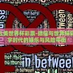 微信怎么美世界杯彩票-微信与世界杯彩票，数字时代的娱乐与风险平衡