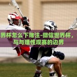 世界杯彩票投注关闭-世界杯彩票投注逐渐画上休止符的背后