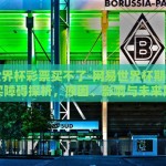 网易世界杯彩票买不了-网易世界杯期间彩票购买障碍探析，原因、影响与未来展望