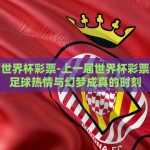 上一届世界杯彩票-上一届世界杯彩票，追忆足球热情与幻梦成真的时刻